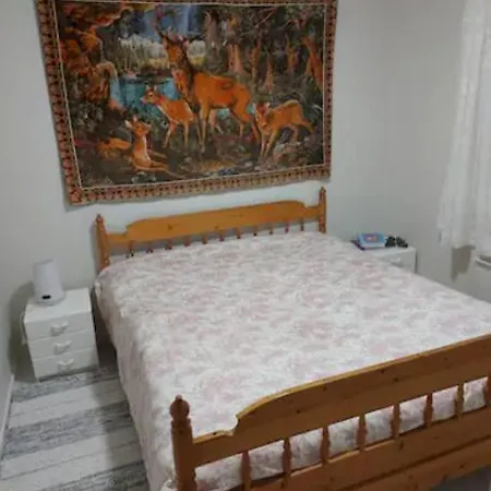 Pajala, Talo Aavan Reunalla * Nivala